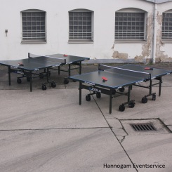 Tischtennisplatte